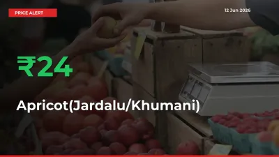 Why Apricot(Jardalu/Khumani) Prices Rose 23.95% in a Day at Mandis