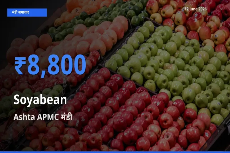 Ashta APMC मंडी में सोयाबीन ₹8,800 पर पहुँचा – आज का सर्वोच्च भाव