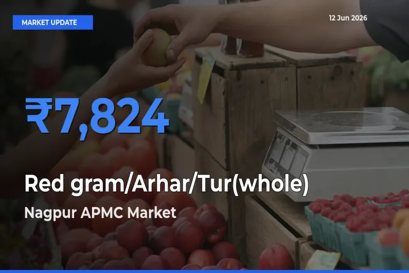 Top Performer! Nagpur APMC Offers Best Red gram/Arhar/Tur(whole) Price Today