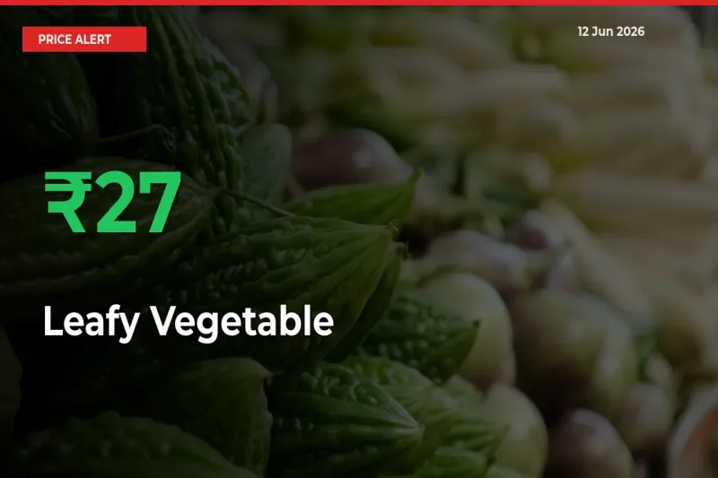 Farmers Cheer as Leafy Vegetable Prices Surge 26.86% in Local Mandis
