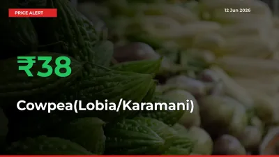 Why Cowpea(Lobia/Karamani) Prices Rose 38.39% in a Day at Mandis