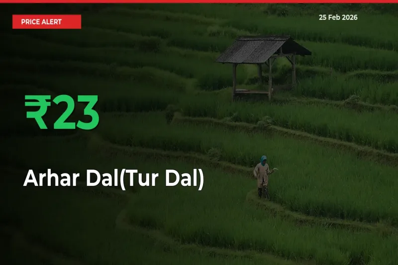 Farmers Cheer as Arhar Dal(Tur Dal) Prices Surge 23.24% in Local Mandis