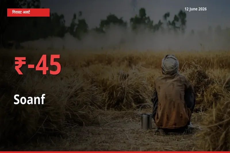 बाज़ार संकेत: सौंफ के भाव मंडी में 45.19% नीचे
