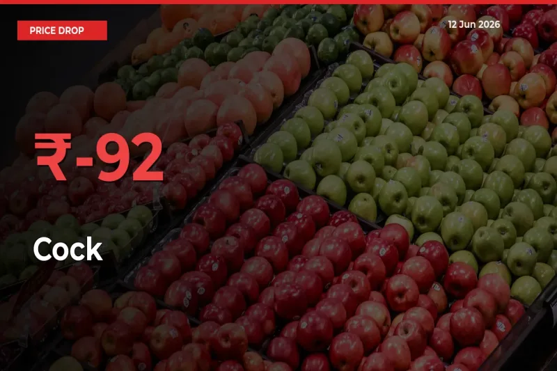 Cock Mandi Rate Today: Prices Fall 91.75% at Market
