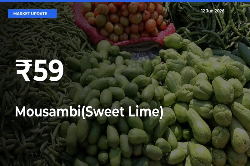 Mousambi(Sweet Lime) Shows Strong Mandi Trend – June 12 Market Update
