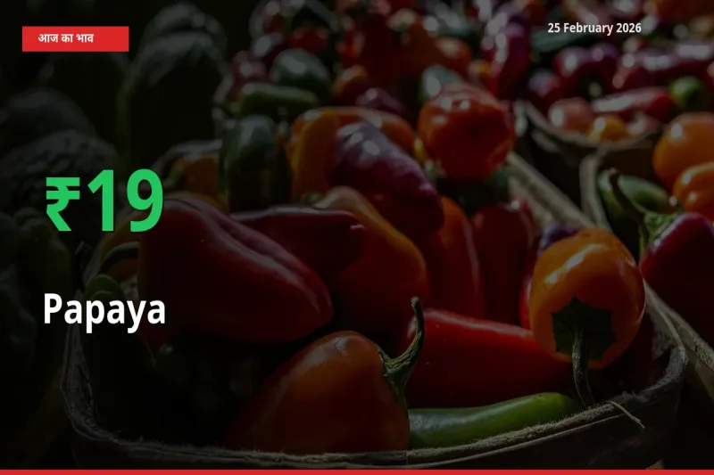 बाज़ार संकेत: Papaya के भाव मंडी में 19.1% ऊपर