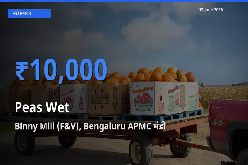 आज हरी मटर के सबसे ऊँचे दाम ₹10,000 Binny Mill (F&V), Bengaluru APMC मंडी में
