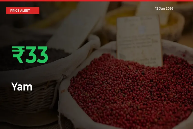 Farmers Cheer as Yam Prices Surge 33.33% in Local Mandis