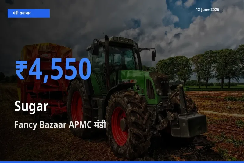 12 June अपडेट: चीनी के सबसे ऊँचे दाम Fancy Bazaar APMC मंडी में