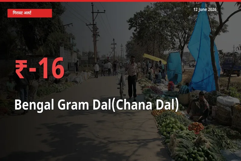 किसानों की चिंता बढ़ी! स्थानीय मंडी में चना दाल 16.04% गिरा