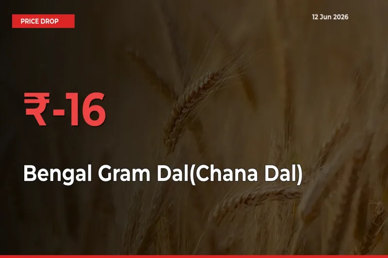 Bengal Gram Dal(Chana Dal) Mandi Rate Today: Prices Fall 16.04% at Market