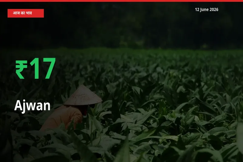 अजवाइन 16.67% उछला, मंडी