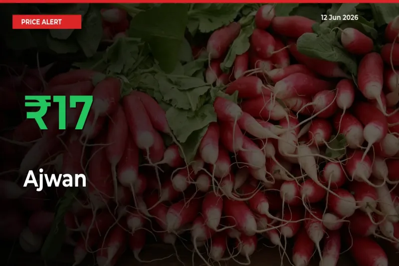 Ajwan Prices Rise 16.67% in a Day at Major Mandis