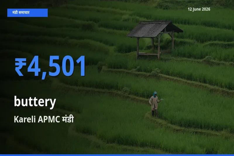 आज कोमलता से के सबसे ज़्यादा दाम Kareli APMC मंडी में दर्ज
