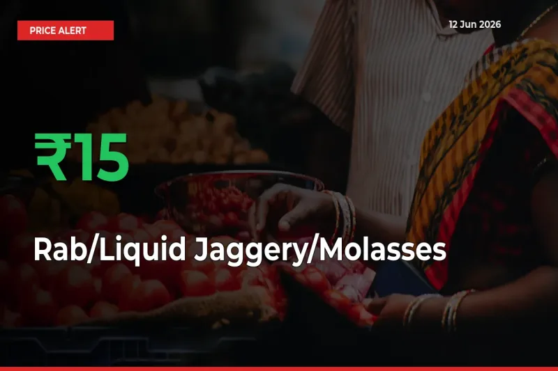 Why Rab/Liquid Jaggery/Molasses Prices Rose 15.01% in a Day at Mandis
