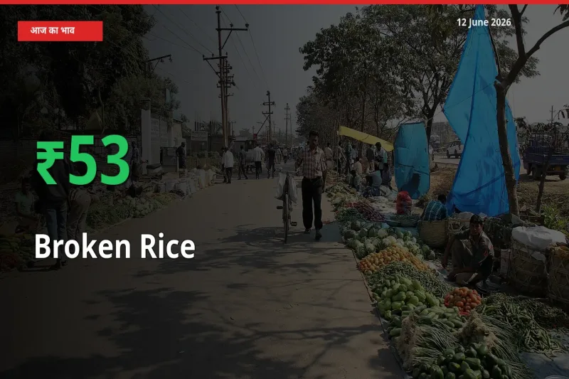 टूटा चावल के दाम प्रमुख मंडी में 53.48% बढ़े, 24 घंटे में बड़ा बदलाव