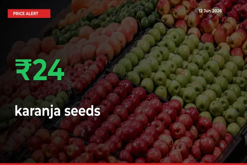 karanja seeds Rises 23.54% at Mandis
