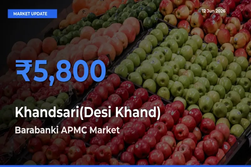 Farmers Prefer Barabanki APMC as Khandsari(Desi Khand) Hits Highest Rate