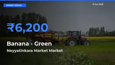 Farmers Prefer Neyyatinkara Market as Banana - Green Hits Highest Rate