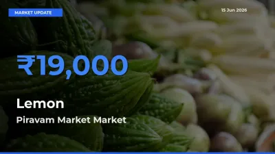 Market Watch: Piravam Market Becomes Top Mandi for Lemon