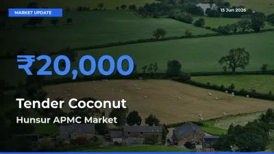 Hunsur APMC Records Highest ₹20,000 Rate for Tender Coconut
