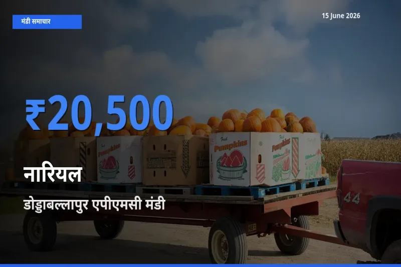 आज नारियल के सबसे ज़्यादा दाम डोड्डाबल्लापुर एपीएमसी मंडी में दर्ज