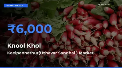 Top Performer! Keelpennathur(Uzhavar Sandhai ) Offers Best Knool Khol Price Today