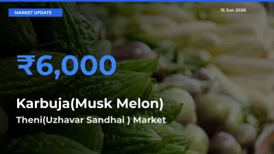 Theni(Uzhavar Sandhai ) Emerges as Top Mandi for Karbuja(Musk Melon) Prices Today
