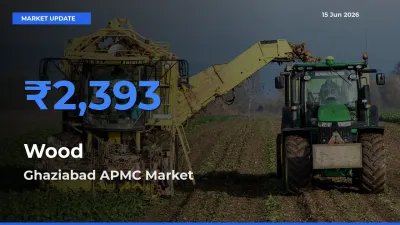 Ghaziabad APMC Emerges as Top Mandi for Wood Prices Today