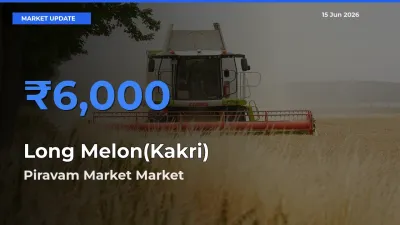 Long Melon(Kakri) Mandi Rate Today: Piravam Market Tops the List