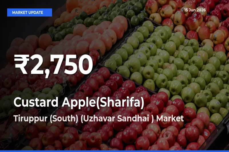 Sharp Fall! Custard Apple(Sharifa) Prices Drop to 30-Day Low in Tiruppur (South) (Uzhavar Sandhai )