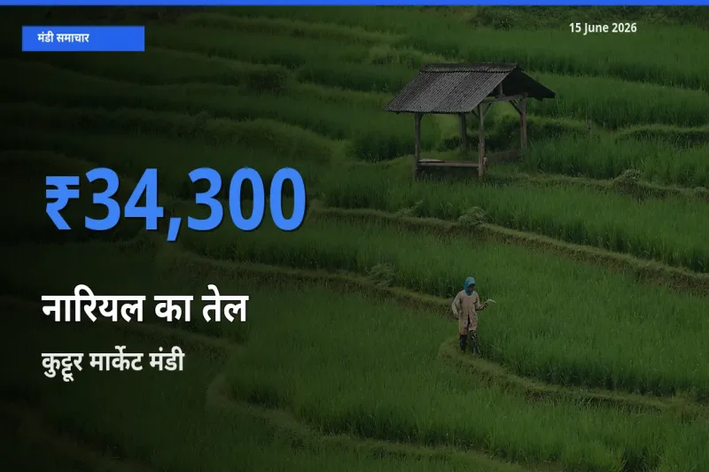 कुट्टूर मार्केट में नारियल का तेल का आज सबसे ऊँचा भाव