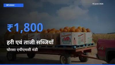 पोरसा एपीएमसी में हरी एवं ताजी सब्जियाँ का आज सबसे ऊँचा भाव