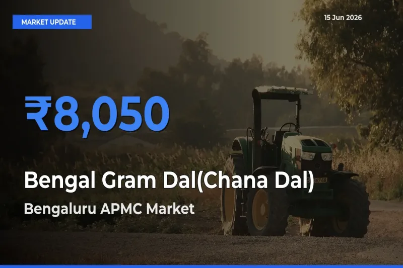 Bengaluru APMC Emerges as Top Mandi for Bengal Gram Dal(Chana Dal) Prices Today