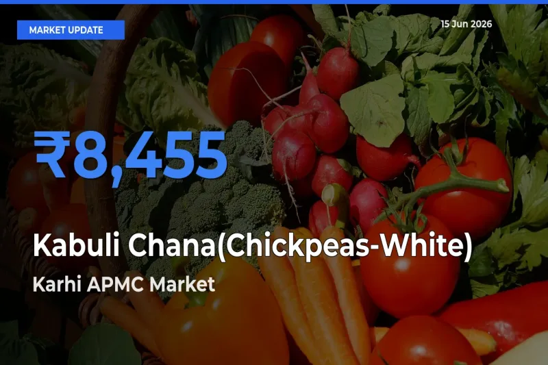 Karhi APMC Leads as Top Mandi for Kabuli Chana(Chickpeas-White) Prices
