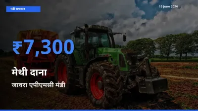 किसानों की पसंद बना जावरा एपीएमसी, मेथी दाना के सबसे अच्छे दाम