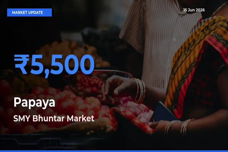 SMY Bhuntar Leads as Top Mandi for Papaya Prices