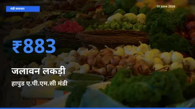आज का मंडी भाव: जलावन लकड़ी के सबसे ज़्यादा दाम हापुड ए.पी.एम.सी में