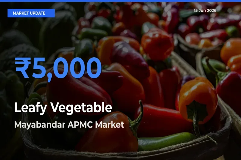 Mayabandar APMC Tops Leafy Vegetable Mandi Rates Today