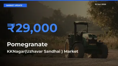 KKNagar(Uzhavar Sandhai ) Leads as Top Mandi for Pomegranate Prices