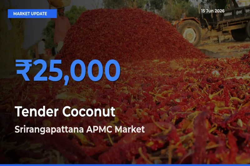 Srirangapattana APMC Tops Tender Coconut Mandi Rates Today