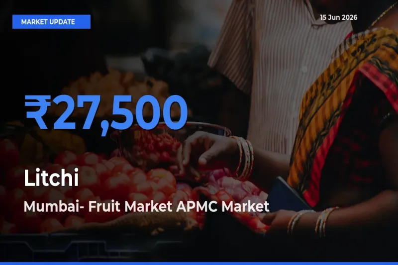 Mumbai- Fruit Market APMC Tops Litchi Rates – June 15 Market Update