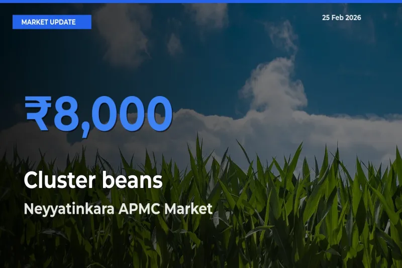 Neyyatinkara APMC Tops Cluster beans Mandi Rates Today