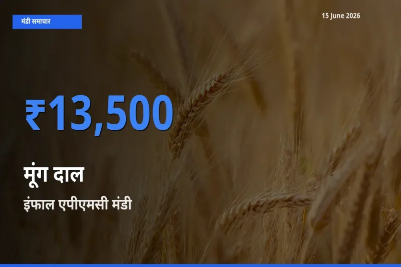 इंफाल एपीएमसी मंडी में आज मूंग दाल के सबसे ऊँचे दाम दर्ज