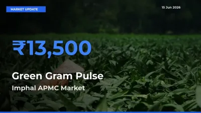 Imphal APMC Tops Green Gram Pulse Mandi Rates Today