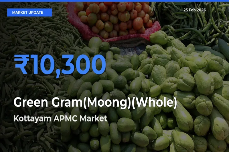 Kottayam APMC Offers ₹10,300 – Highest Green Gram(Moong)(Whole) Rate Today