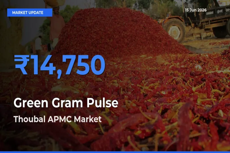 Green Gram Pulse Mandi Rate Today: Thoubal APMC Tops the List