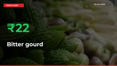 Sharp Jump! Bitter gourd Prices Climb 22.27% in 24 Hours at Key Mandis