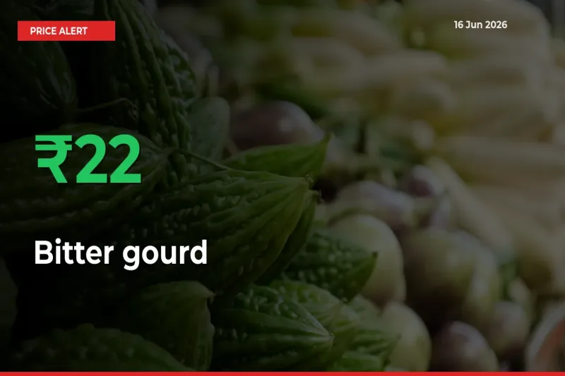 Sharp Jump! Bitter gourd Prices Climb 22.27% in 24 Hours at Key Mandis