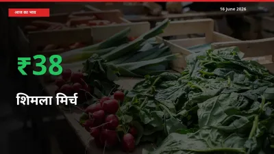 शिमला मिर्च के दाम प्रमुख मंडी में 38.18% बढ़े, 24 घंटे में बड़ा बदलाव